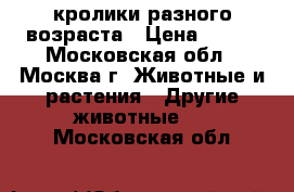 кролики разного возраста › Цена ­ 350 - Московская обл., Москва г. Животные и растения » Другие животные   . Московская обл.